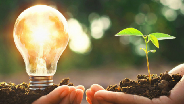 Numero verde SimEnergia: come contattare l'assistenza clienti.