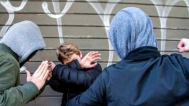 Vigevano, tenta di difendere il figlio dai bulli: aggredita 47enne | vicenzatoday.it