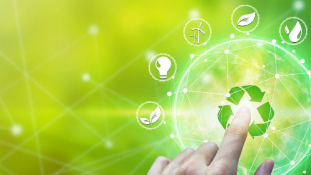 Numero verde Sorgenia: gas e luce per clienti &lsquo;Greeners&rsquo;.