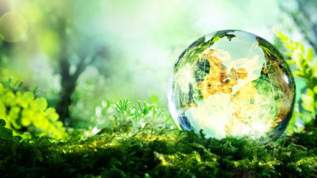 Numero Verde Termoambiente: vendita di gas e prodotti petroliferi.