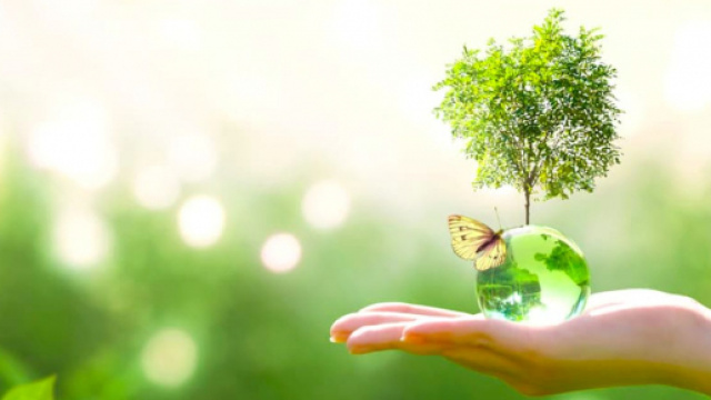 Numero Verde Veneto Gas e Power: energia per il Nord Italia