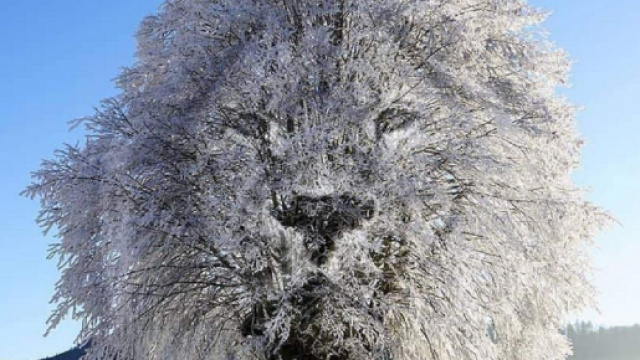 Oroscopo e classifica di gioved&igrave; 23 dicembre: amore top per il Leone, Cancro bizzoso.