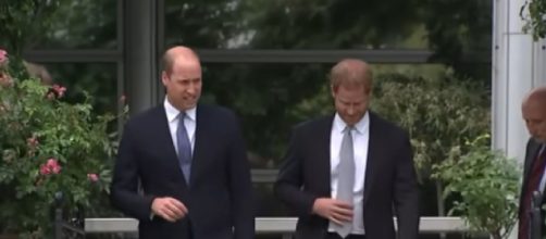 Prince William and Harry unveil Diana statue on what would have been her 60th birthday (Image source: The Royal Family Channel/YouTube)