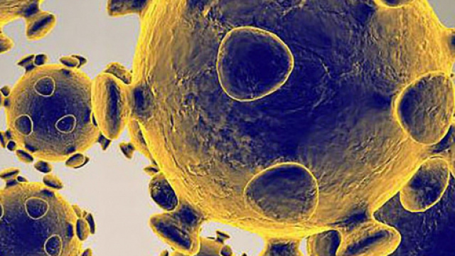 Covid-19, le virus de tous les records