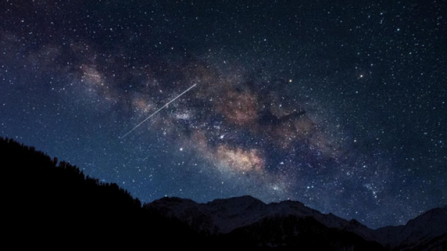 Previsioni zodiacali del 29 dicembre: Leone istintivo, Sagittario annoiato.