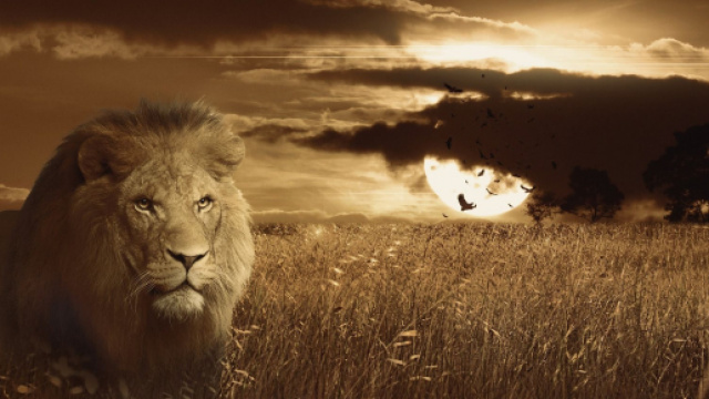 Oroscopo e classifica di luned&igrave; 6 dicembre: amore top per il Capricorno, Leone poliedrico.