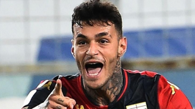 Gianluca Scamacca, ex punta del Genoa.
