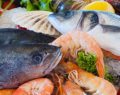 Los precios de pescados y mariscos se disparan esta Navidad: 'Nunca habían estado tan caros'