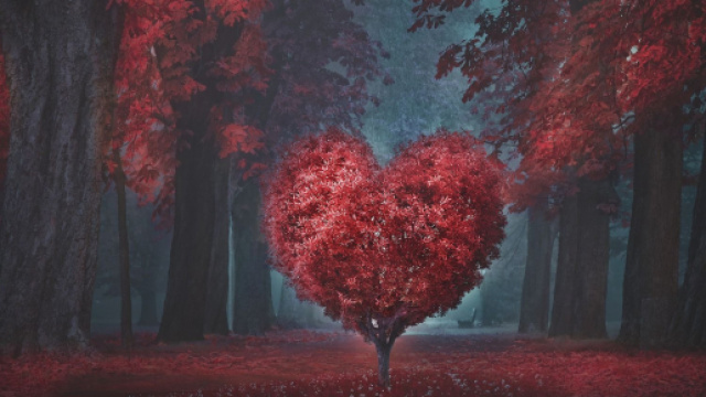 Oroscopo e classifica sull'amore di marzo: Pesci romantici, Ariete passionale.