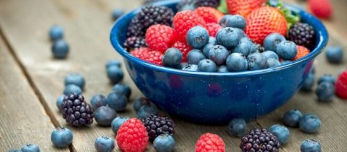 Alimentos que podem aumentar o colesterol bom. (Arquivo Blasting News)