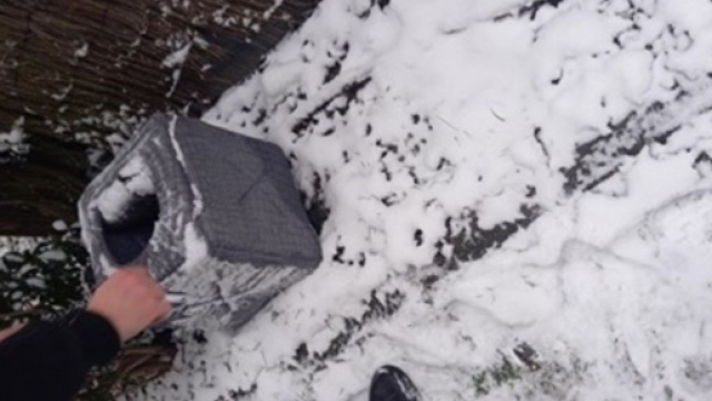 Il trouve un panier dans la neige ce qu'il trouve &agrave; l'int&eacute;rieur est &agrave; peine croyable - &copy;capture d'&eacute;cran photo Facebook