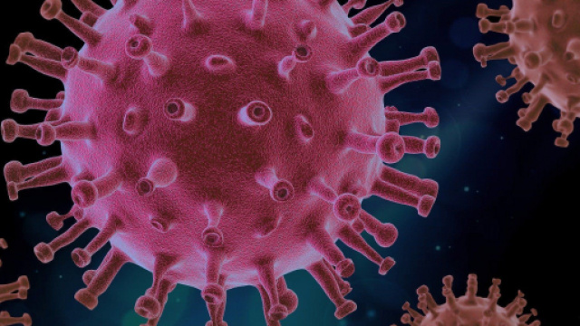 Covid-19, nuova mutazione a Napoli: 'Meno vacciniamo e pi&ugrave; sono probabili le varianti'.