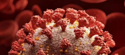 Según un estudio, tener antepasados neandertales podría ayudar con la COVID-19