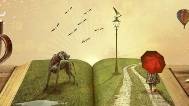 Il novel e il romance: le due prospettive del romanzo.