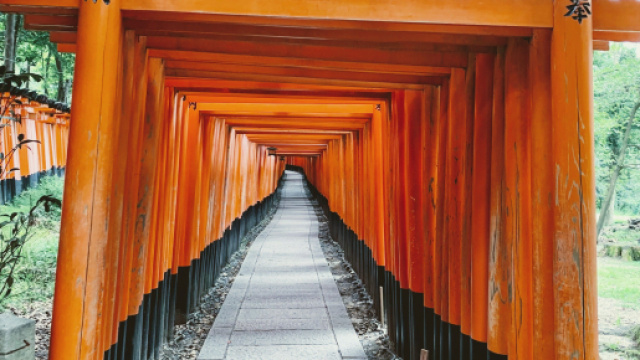 Una selezione dei luoghi da visitare in Giappone.
