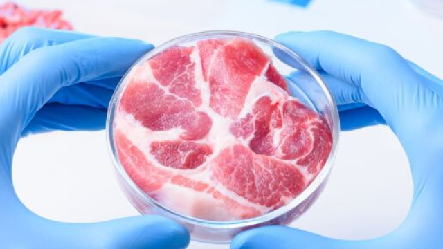 La carne sintetica come possibilit&agrave; per salvare il pianeta.
