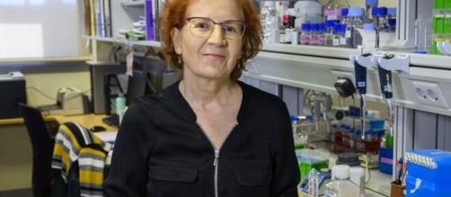 Margarita del Val apunta la fecha de la cuarta oleada del virus: &ldquo;a finales de marzo&rdquo;