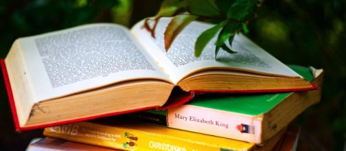 Los libros pirata en M&eacute;xico vinculados al crimen organizado