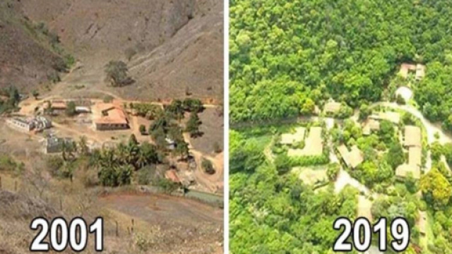 Disboscamento foresta amazzonica dal 2001 al 2019