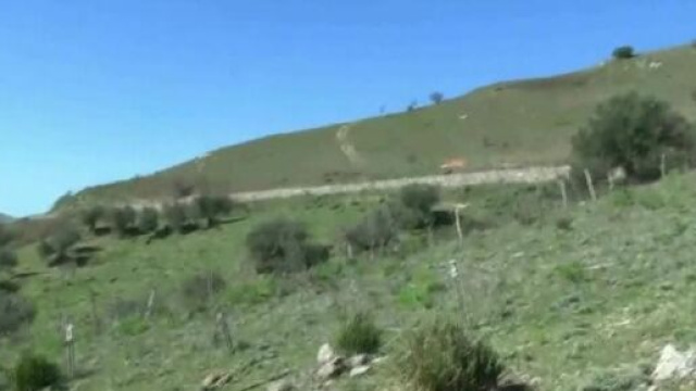Allevatore trovato morto a Nicosia: per l'autopsia &egrave; stato ucciso.