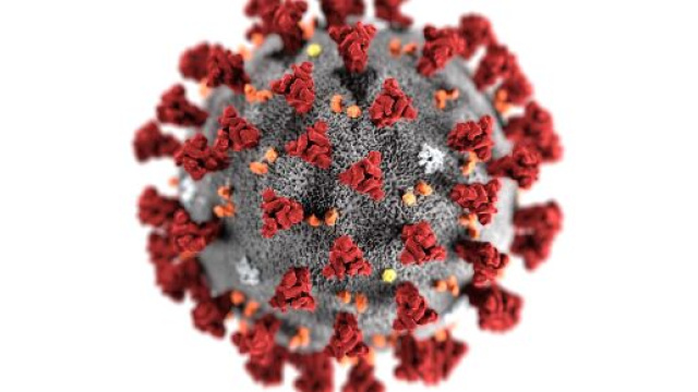 Il Coronavirus ha profondamente segnato la nostra epoca.