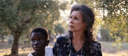 O filme 'Rosa e Momo' foi indicado ao Globo de Ouro. (Arquivo Blasting News)