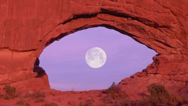 Oroscopo e classifica su fortuna e lavoro di aprile: finanze in risalita per il Toro.