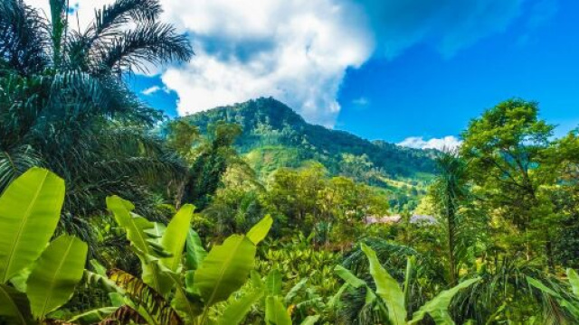 Ranomafana - Madagascar Holidays &copy; Steppes Travel