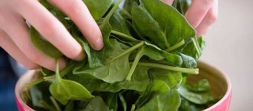 Benef&iacute;cios do espinafre para a sa&uacute;de (Reprodu&ccedil;&atilde;o/Pixabay)