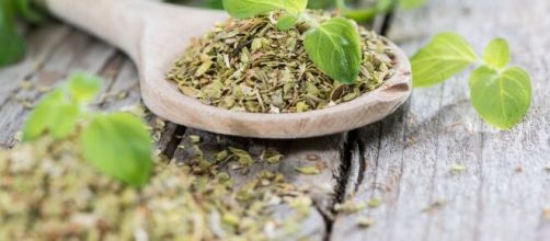 Benef&iacute;cios do or&eacute;gano para a sa&uacute;de (Reprodu&ccedil;&atilde;o/Pixabay)