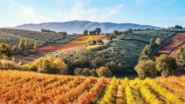 Spazi all'aperto e paesaggi incantati per una nuova dimensione lavorativa.