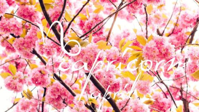 Oroscopo e classifica di primavera: amore favorevole per Ariete e Vergine.