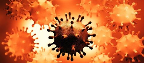 Nova cepa da Covid-19 brasileira &eacute; motivo de preocupa&ccedil;&atilde;o entre autoridades vizinhas (Arquivo Blasting News)