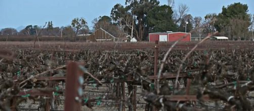 US Secretary of Agriculture Thomas Vilsack said drought has hit 50 of 58 counties in California (Image source: ABC10/YouTube)