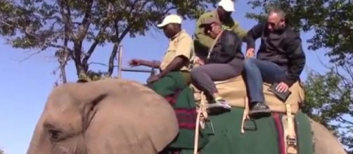 African Safari elephant ride (Image source: Kareem Pinkston/YouTube)