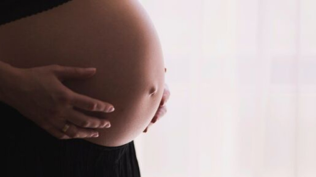 Studio Usa: le mamme vaccinate contro il Covid-19 trasmetterebbero gli anticorpi ai figli.