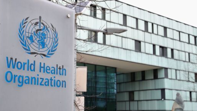 La WHO (OMS) comunica i dati della scomparsa dell'influenza a livello mondiale