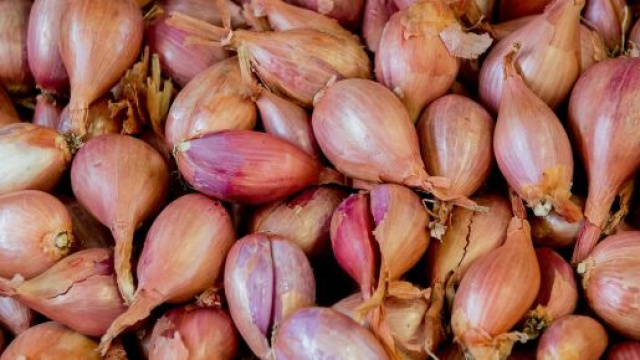 Scalogno, un gustoso e prezioso alleato per la salute.