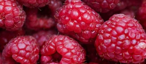 Benef&iacute;cios da framboesa para a sa&uacute;de (Reprodu&ccedil;&atilde;o/Pixabay)