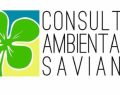 Comune di Saviano (Napoli), istituita la nuova Consulta cittadina per l’ambiente