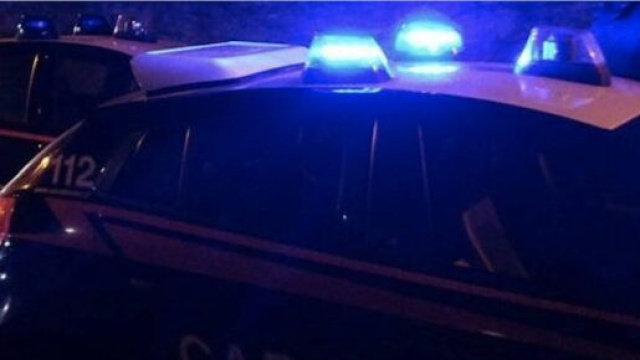 Una serie di volanti dei carabinieri.