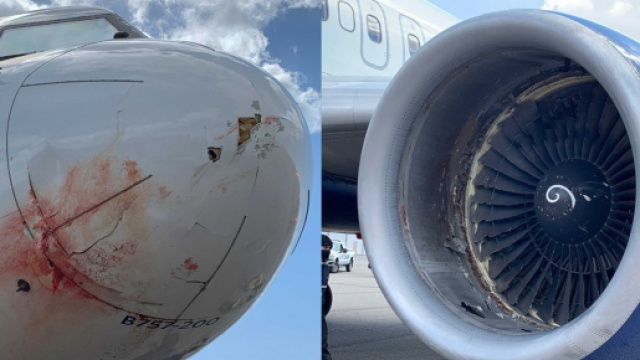 NBA : L'avion du Jazz d'Utah (Credit Twitter @Brian_Schnee)