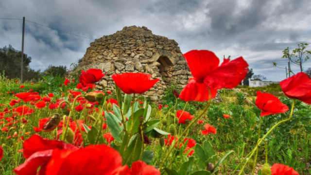 L'oroscopo della settimana dal 26 aprile al 2 maggio: molto bene Cancro e Leone (1^ parte).