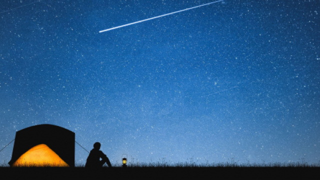 Previsioni astrali del 21 aprile: Leone attivo, curiosit&agrave; per Pesci.