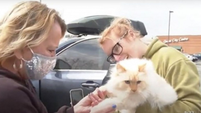 Elle retrouve son chat des ann&eacute;es apr&egrave;s l'avoir perdu - Photo capture d'&eacute;cran vid&eacute;o Youtube