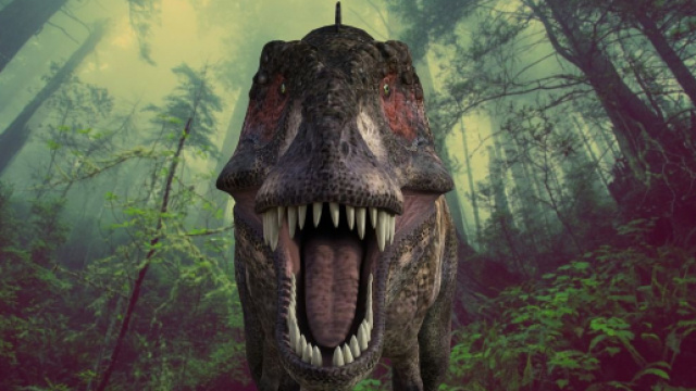 I T-rex erano veloci meno della met&agrave; di quello che si pensa: Importante studio rivela che i dinosauri pi&ugrave; temuti andavano "solo" a 4,5 km/h