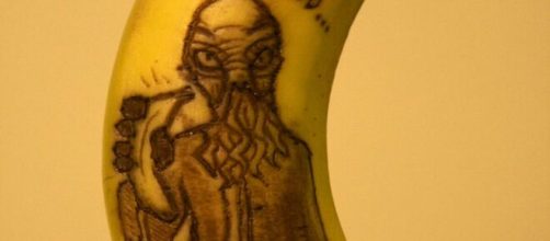 'We must feed you a banana' by Anna Chojnicka (mage source: Larissa Sayer/Flickr)