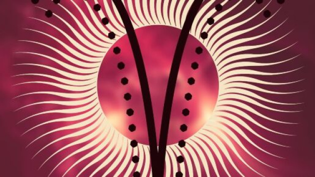 Oroscopo di maggio, Ariete: fortuna eccellente e sentimenti ottimi.