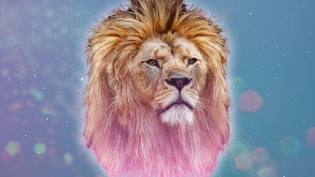 Oroscopo di maggio, Leone: responsabilit&agrave; in arrivo, tenerezza in amore