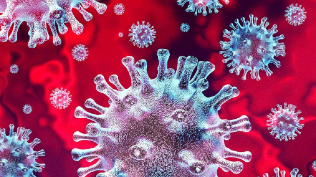 Pubblicato il monitoraggio settimanale dell'Istituto Superiore di Sanit&agrave;.